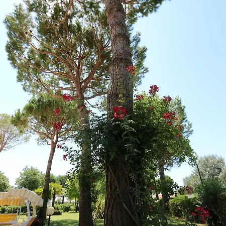 Hotel Hiki 3 Superior 3*