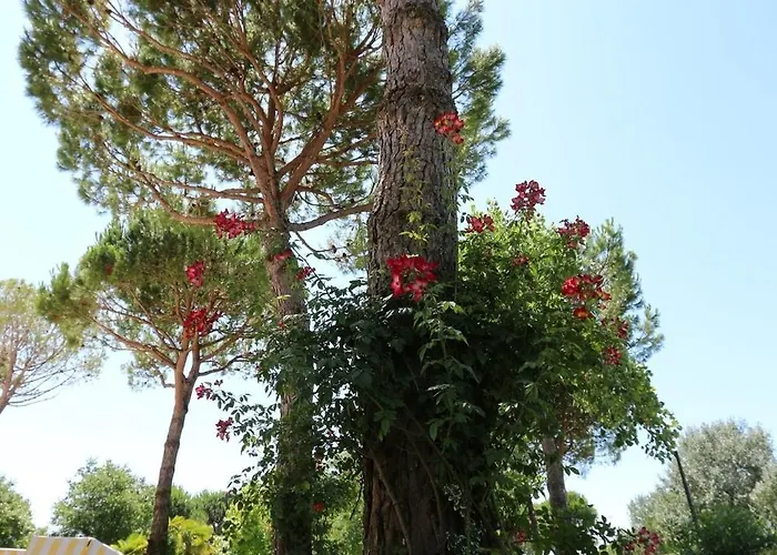 Ξενοδοχείο Hiki 3 Superior 3*